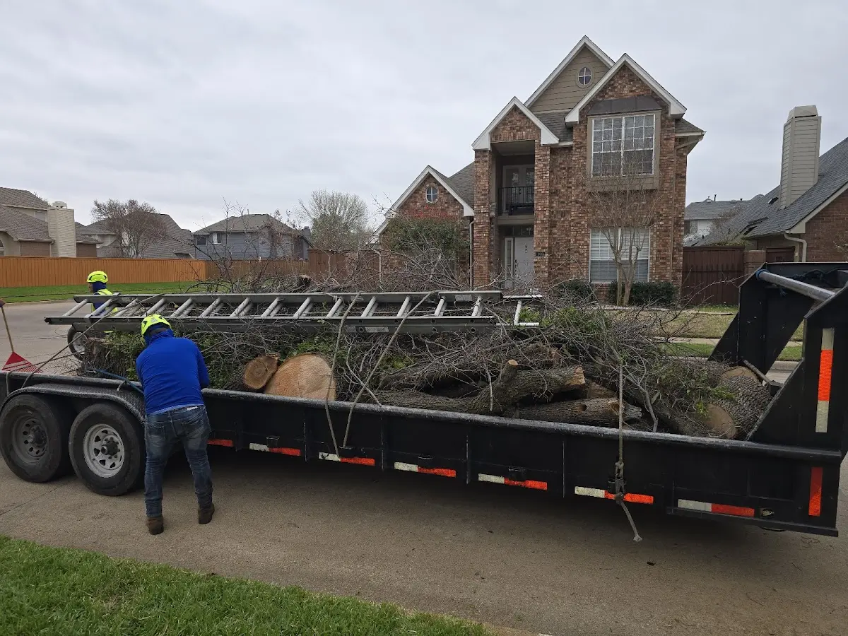 Expert Tree Fertilization with proper safety equipment in Lyons
